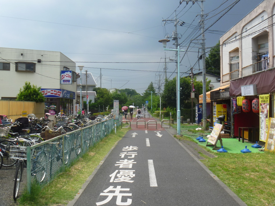 Sayama Sakai Ryokudo景点图片