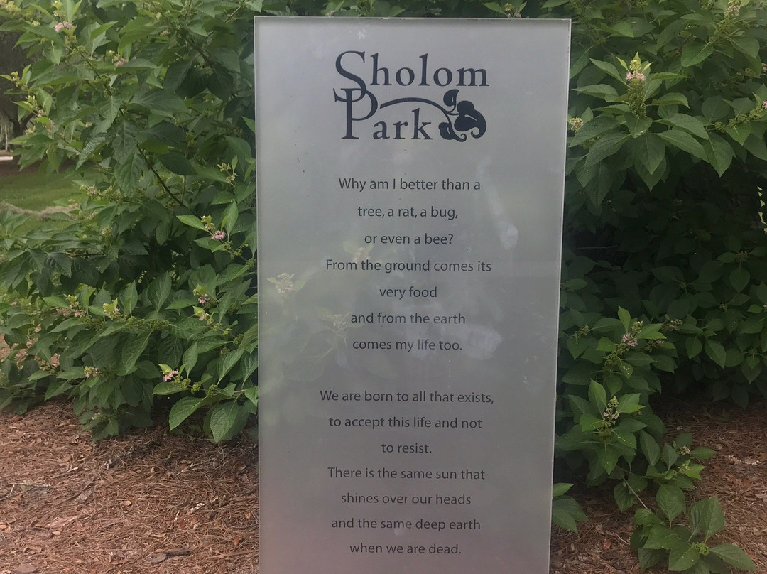 Sholom Park景点图片