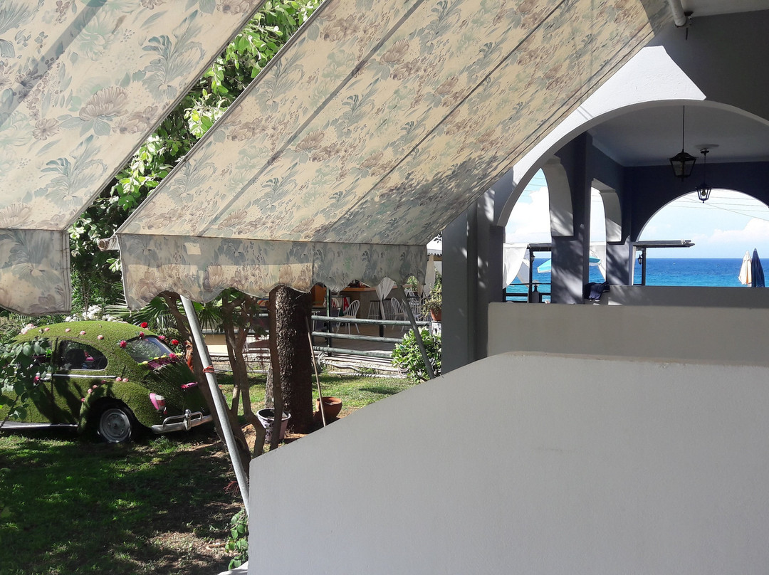 Amarylis Studios主图