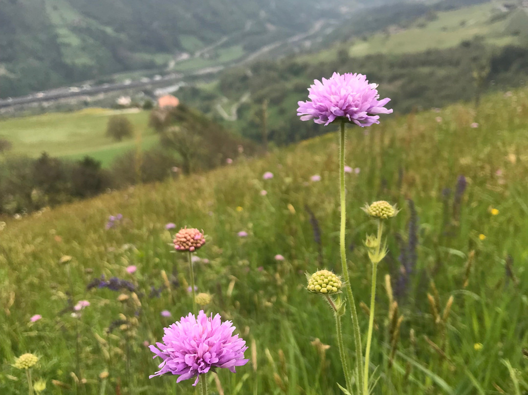 Barbianer Wasserfälle /Cascate di Barbiano-Barbiano必去景点