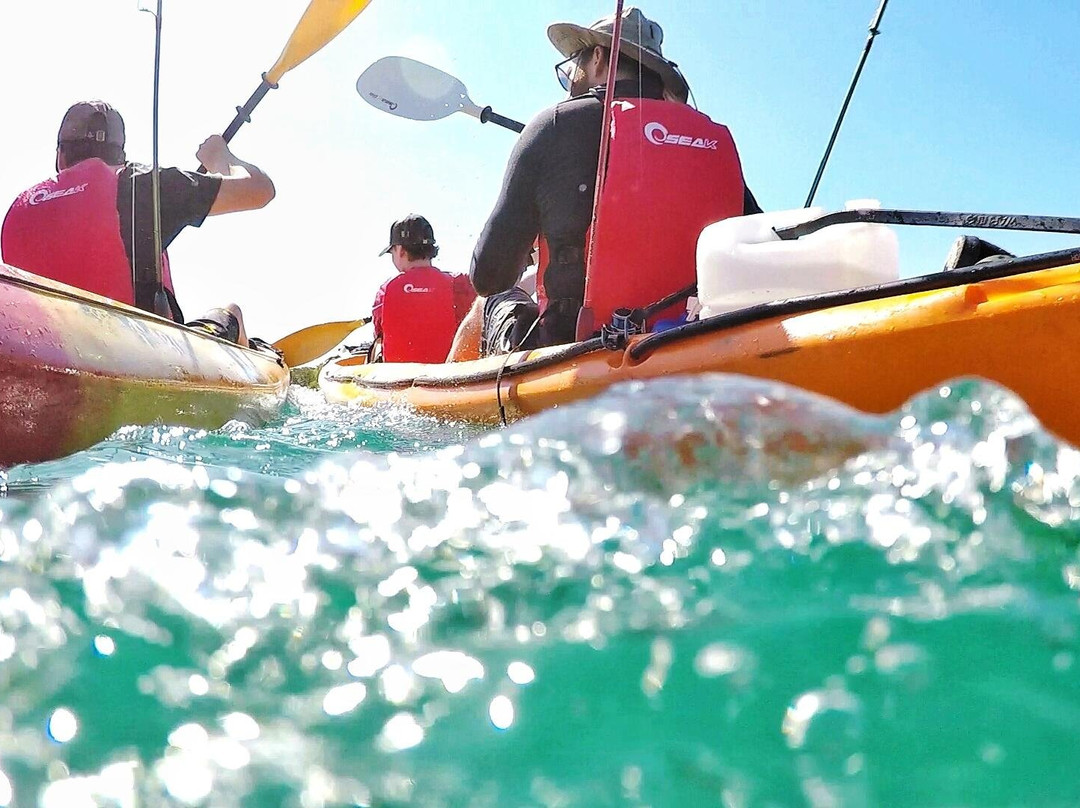 Bush to Coast Expeditions-黄金海岸必去景点