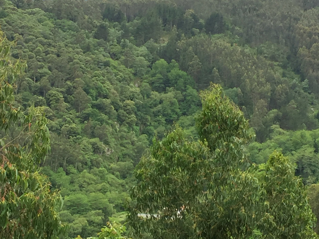 Urrezko Ametsa主图