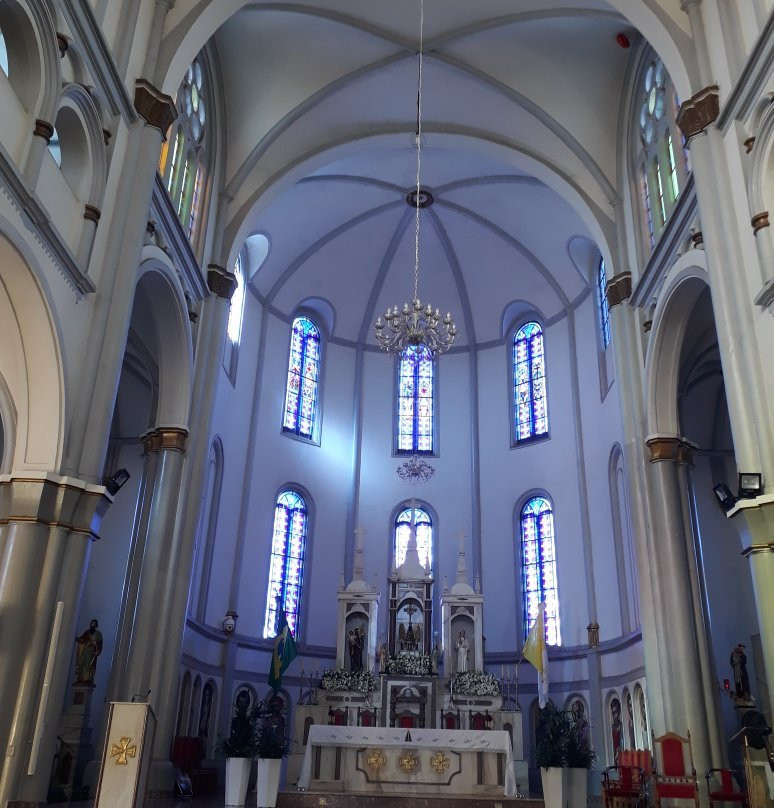 Catedral Metropolitana Nossa Senhora Aparecida景点图片