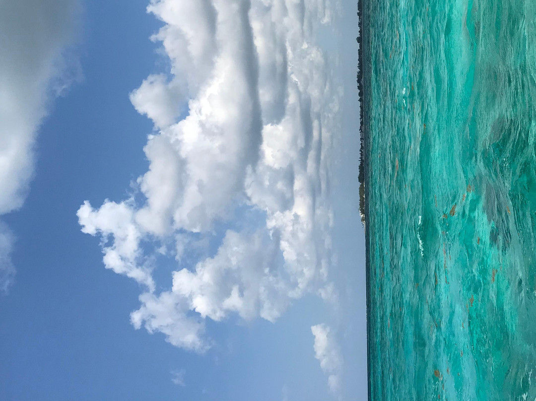 Peace of Cayman景点图片