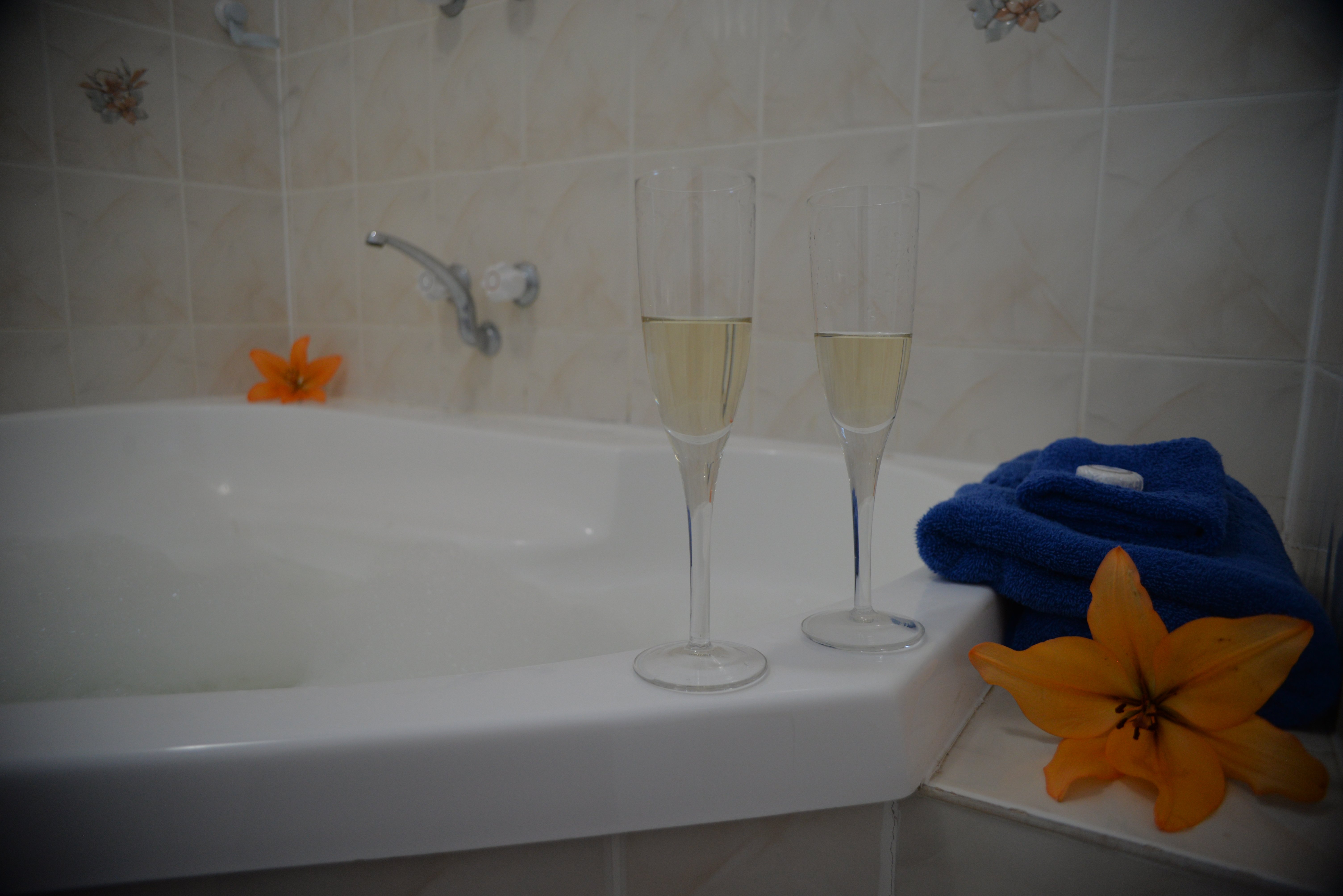 Ship Inn Motel-官方