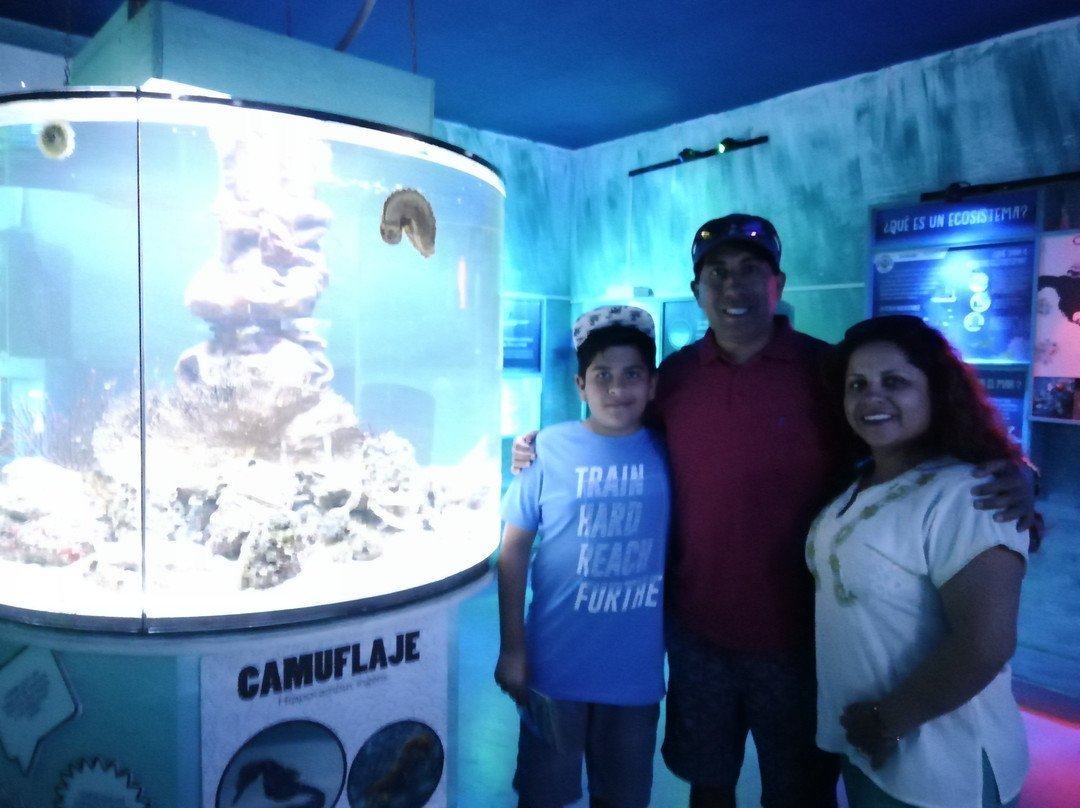 Acuario Mundo Hippocampus-Organos必去景点