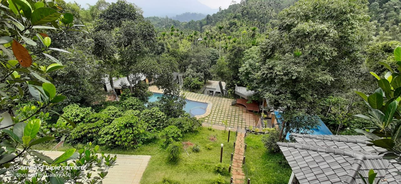 Wayanad Ranches Resorts-泳池