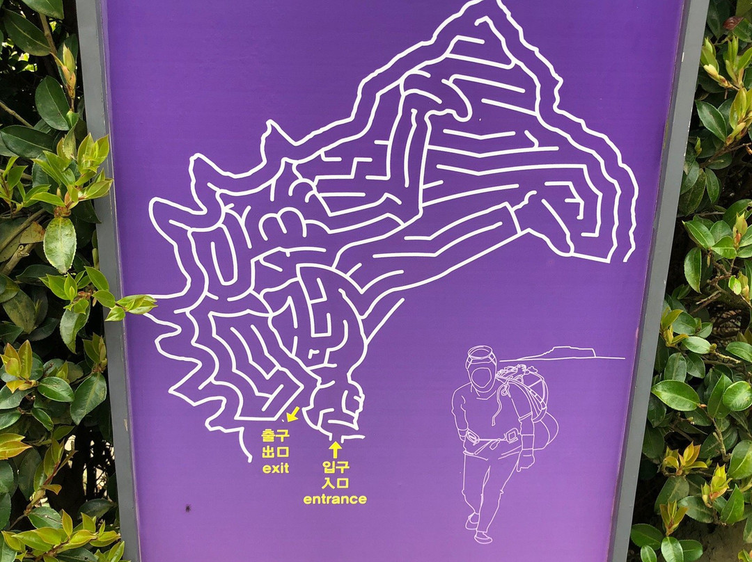 迷宫主题公园-济州必去景点