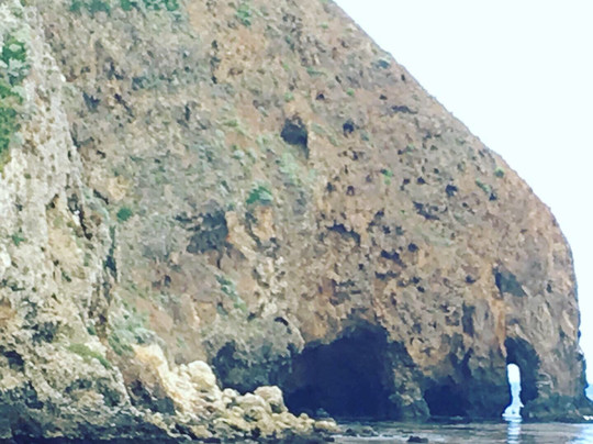 Channel Islands National Marine Sanctuary-峡岛国家公园必去景点