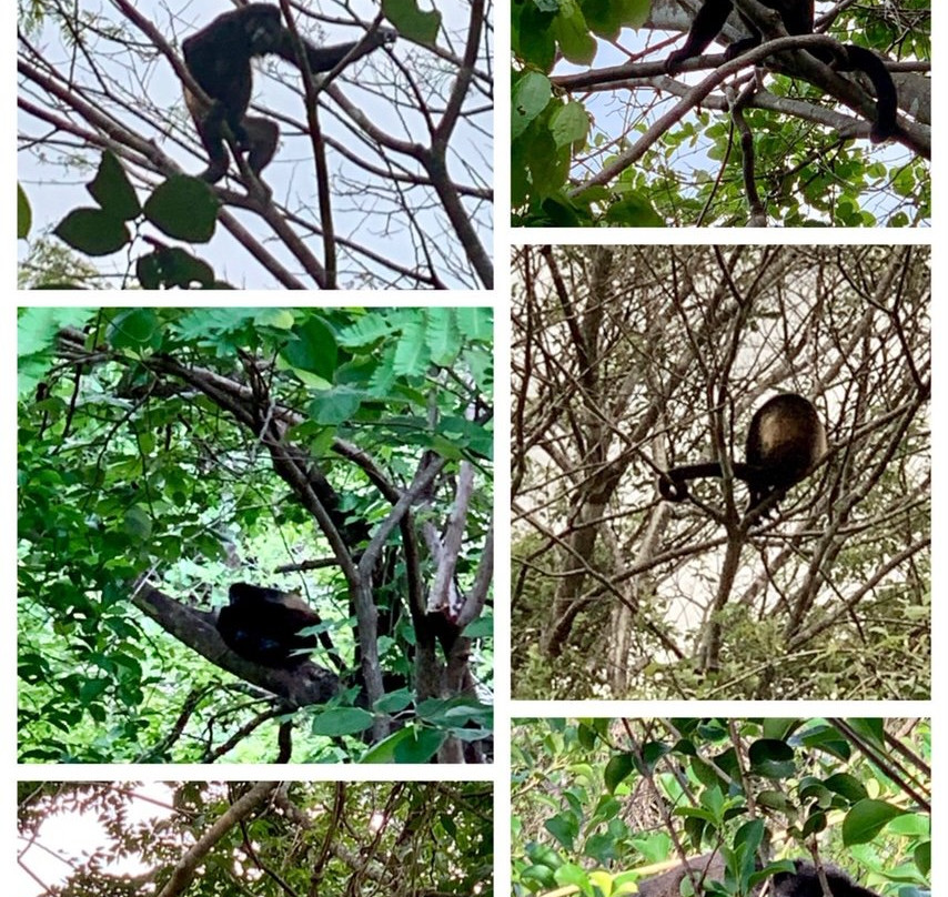 Rio Perdido, an SLH Hotel主图