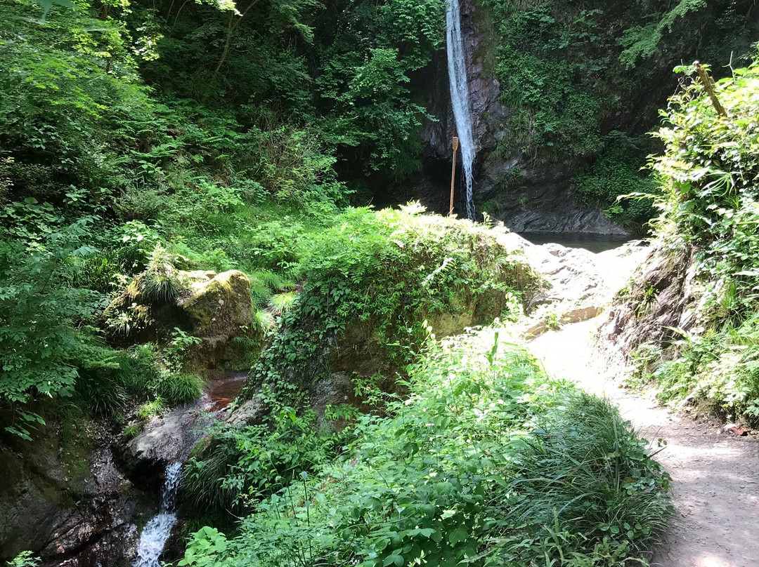 Chichibu Kegon no Taki Falls景点图片