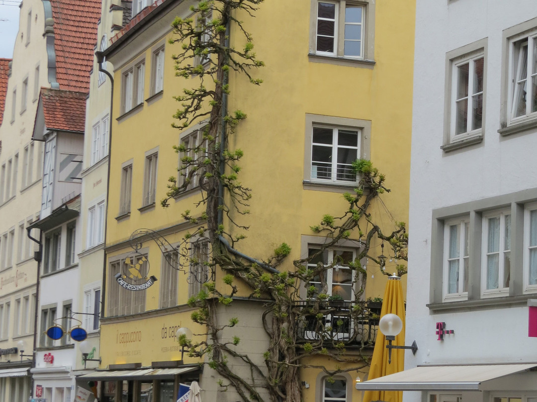 Deutsche Alpenstrasse-林道必去景点