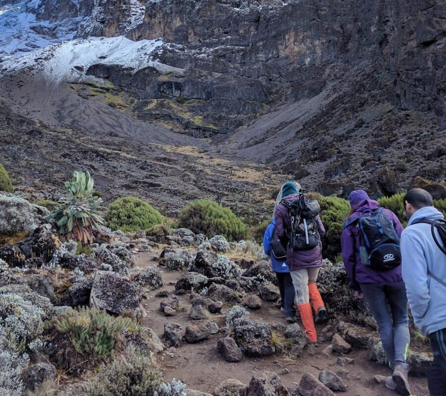 Bantu Pori Journeys-莫西必去景点