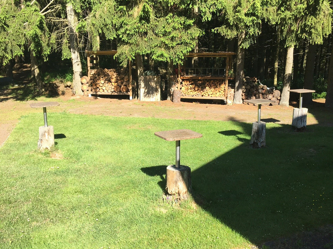 Waldhotel Am Nurburgring主图