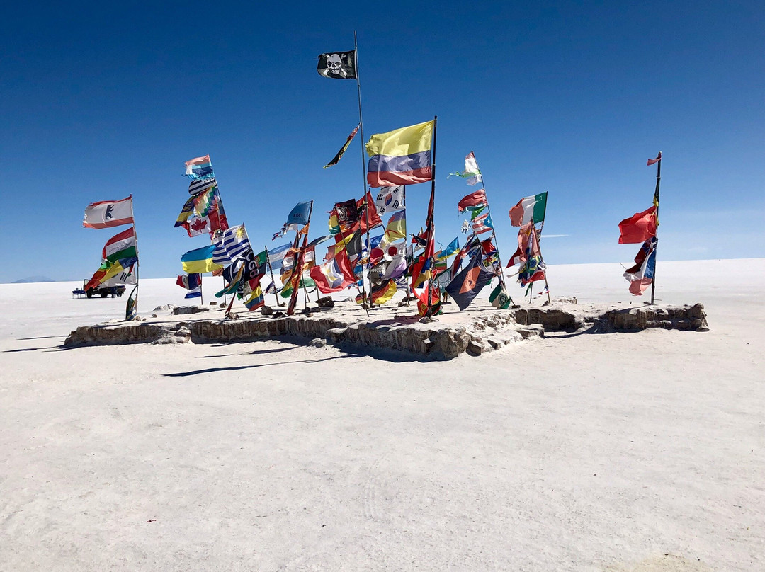 Salt Flats Uyuni Expedition -Day Tour景点图片