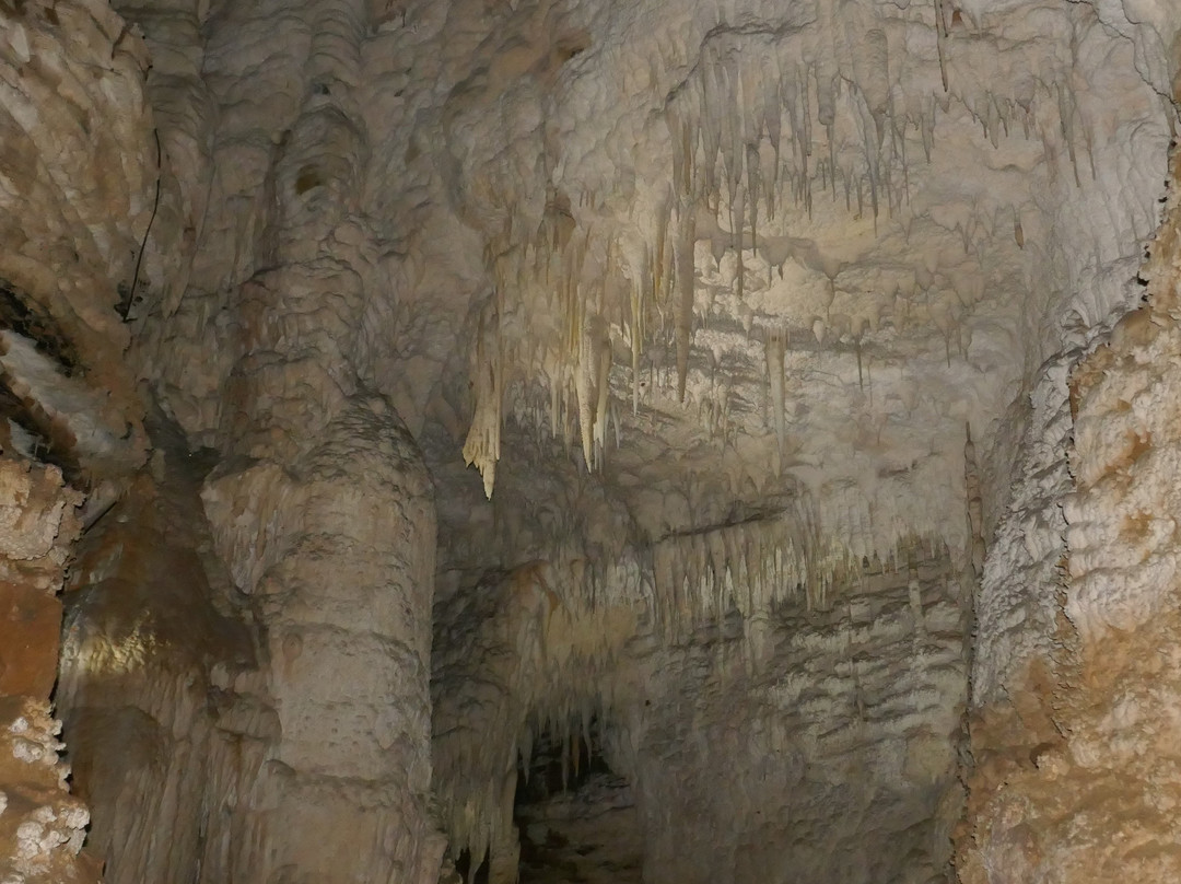 Aranui Cave景点图片
