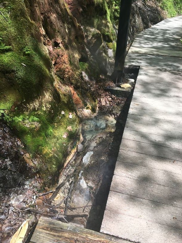 Jigokudani Walking Path-大崎市必去景点