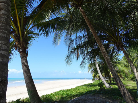 Cultour di Marco Tardio-萨尔瓦多必去景点