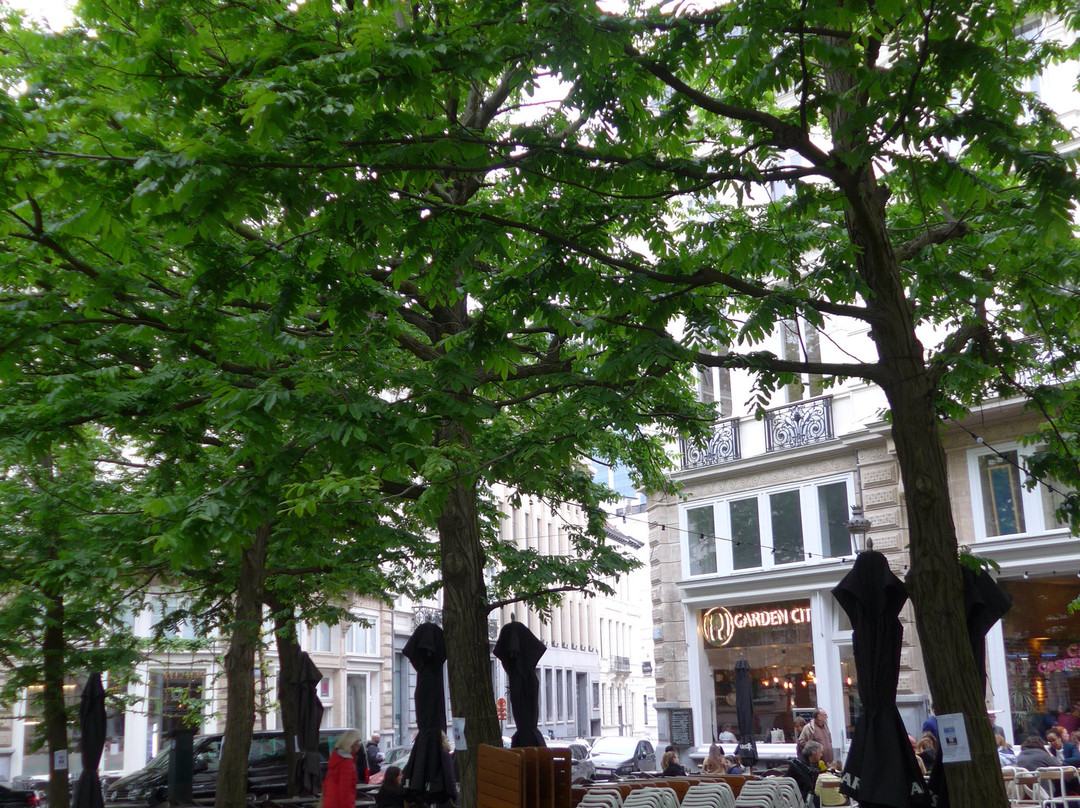 Place de la Liberte-布鲁塞尔必去景点