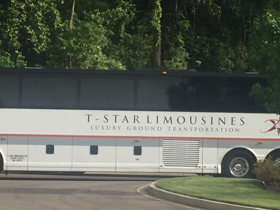 T-Star Luxury Ground Transportation景点图片