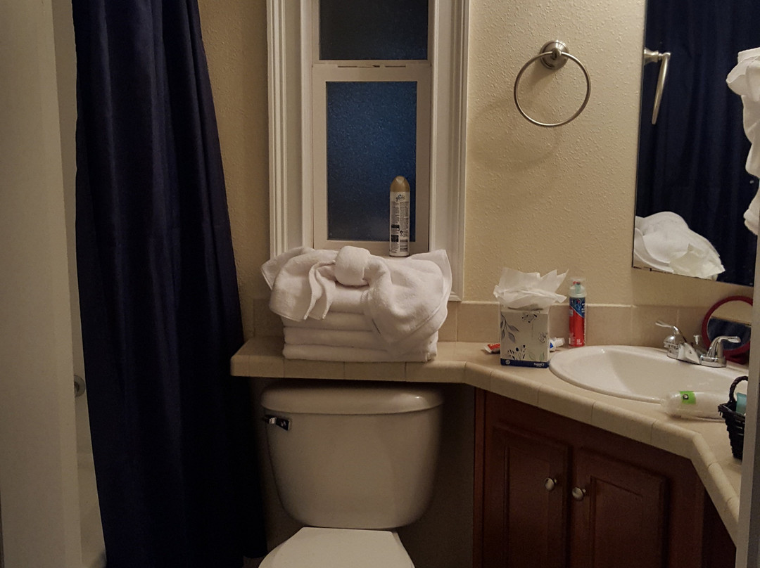 Encore Tropical Palms主图