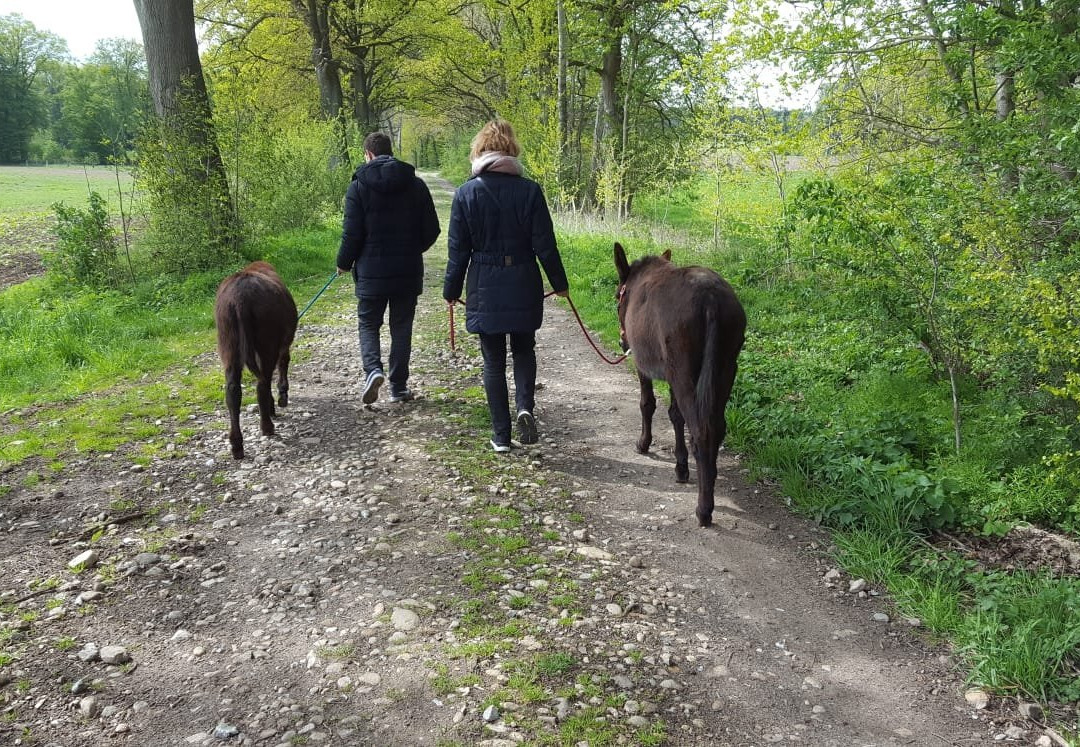 Sonja Scholling-Oldendorf必去景点