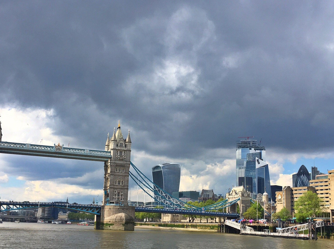 Thames River Tours -  Day Tours景点图片