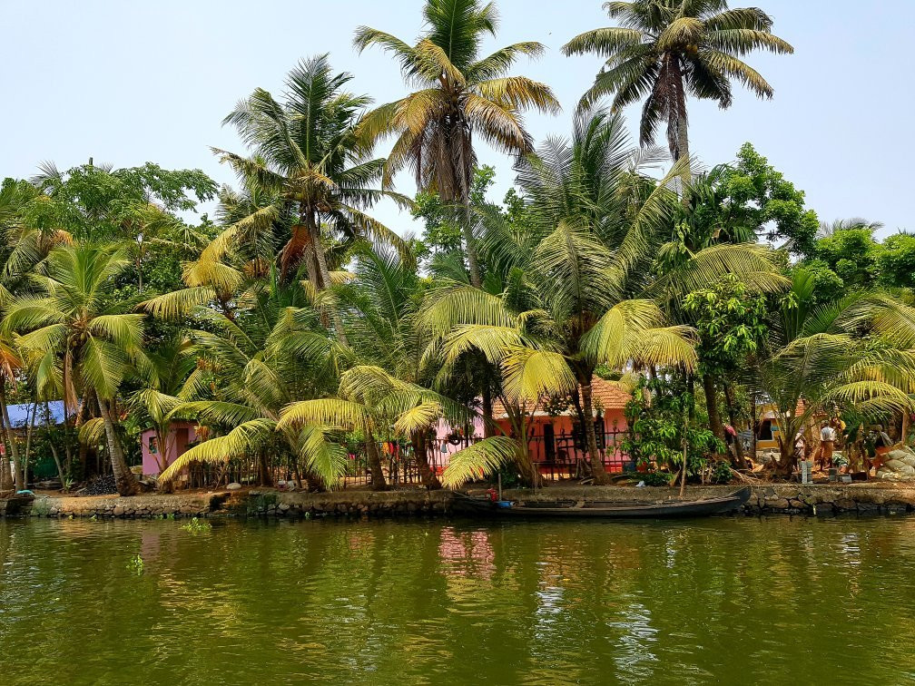 Cochin Magic Day Tours景点图片