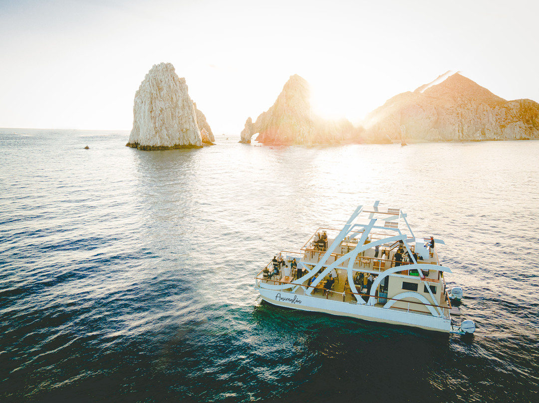 Animalón by the Sea主图