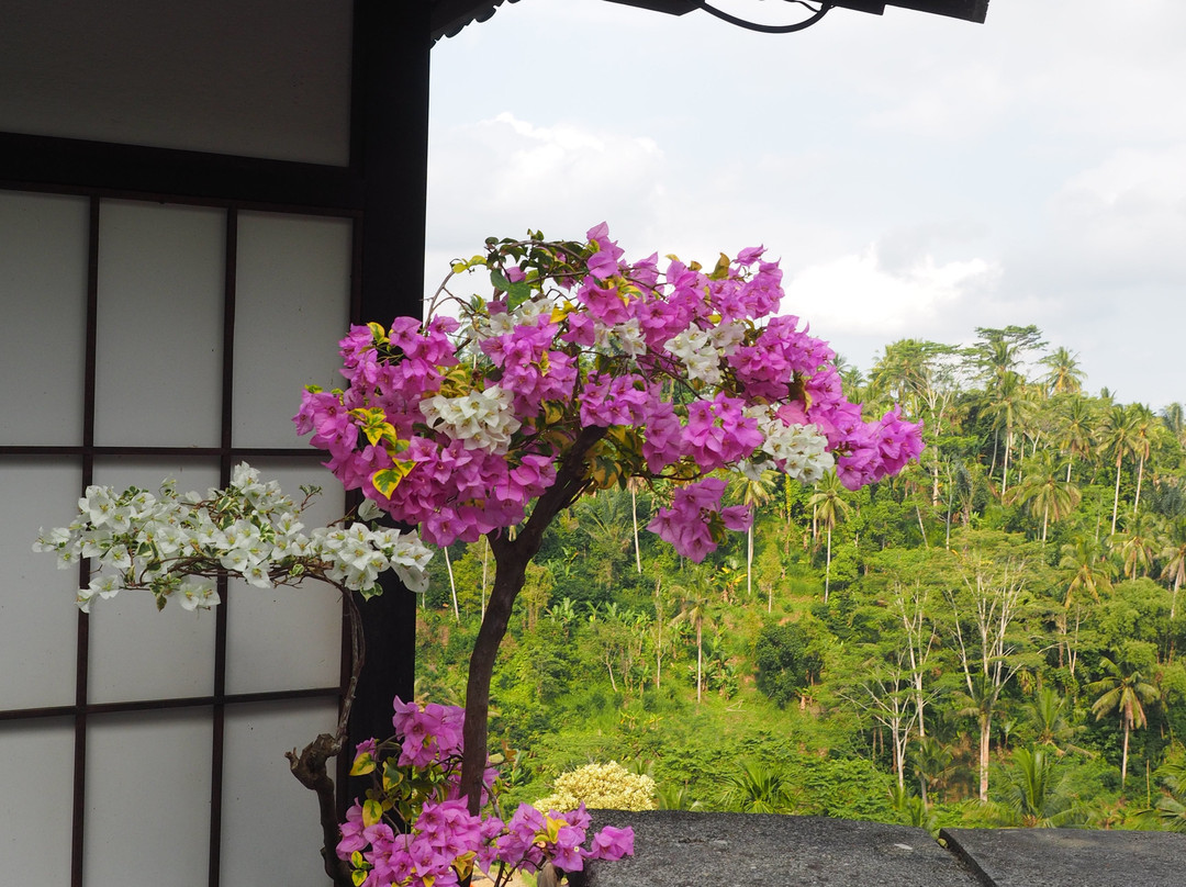 苏亚拉普拉水疗度假村主图