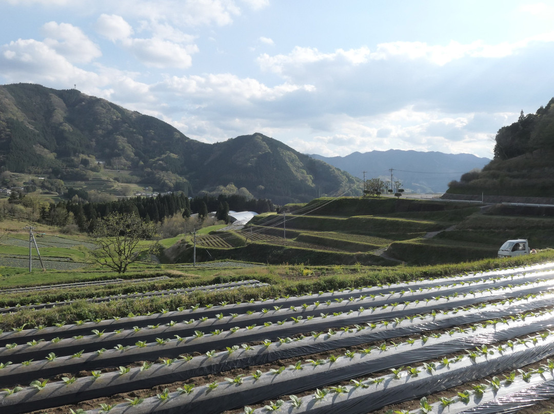 Tochimata Tanada Rice Terrace景点图片