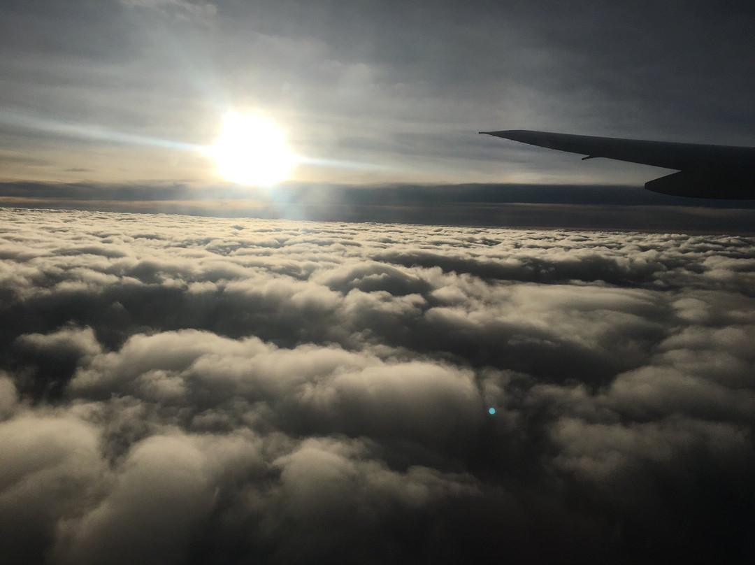 Rossomar Rentals主图