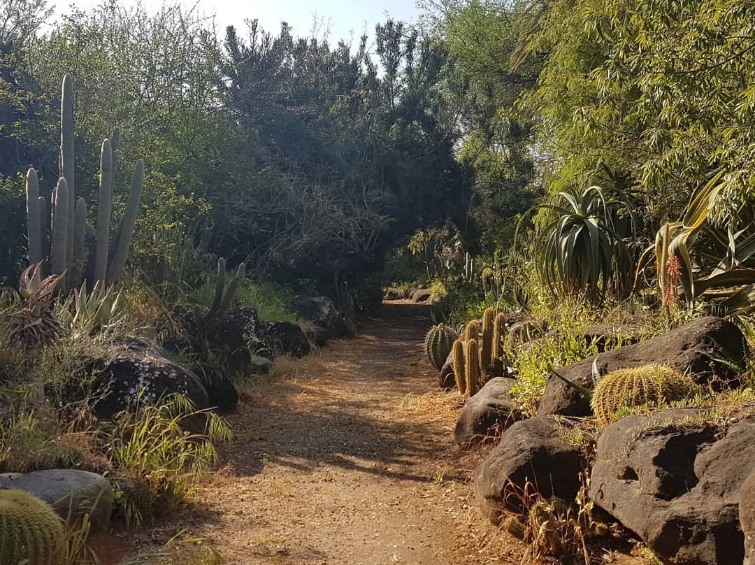 Rocks Garden-拉马干必去景点