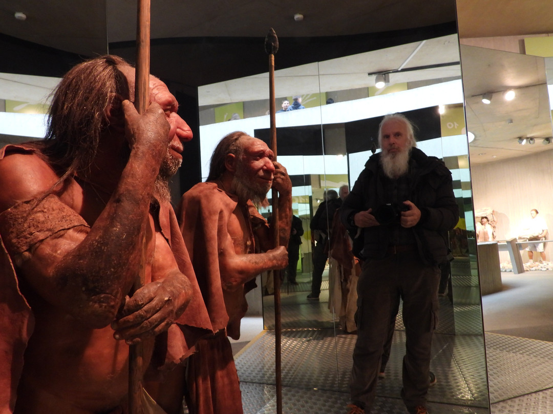 Neanderthal Museum景点图片