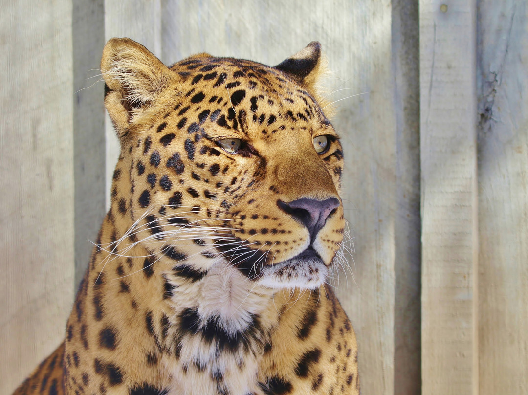 The Zoo in Forest Park & Education Center-斯普林菲尔德必去景点
