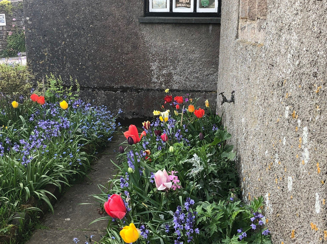 Manor Lodge Guesthouse B&B主图