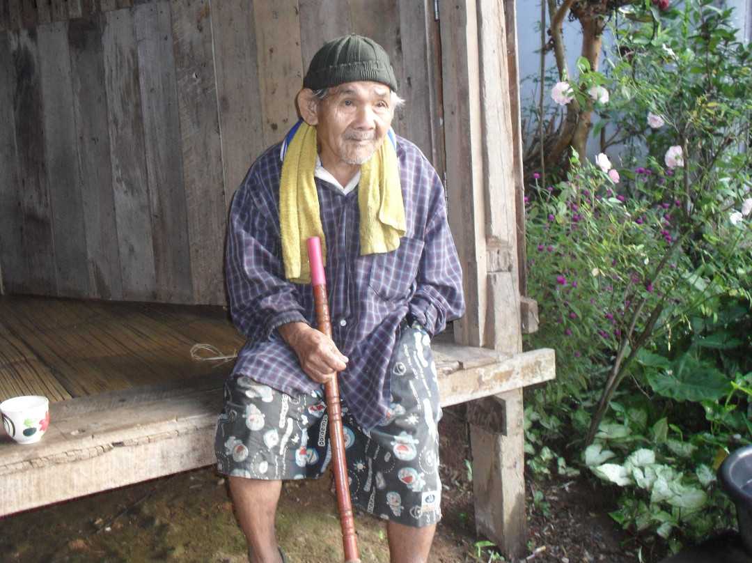 Nutty's Adventures-大城必去景点