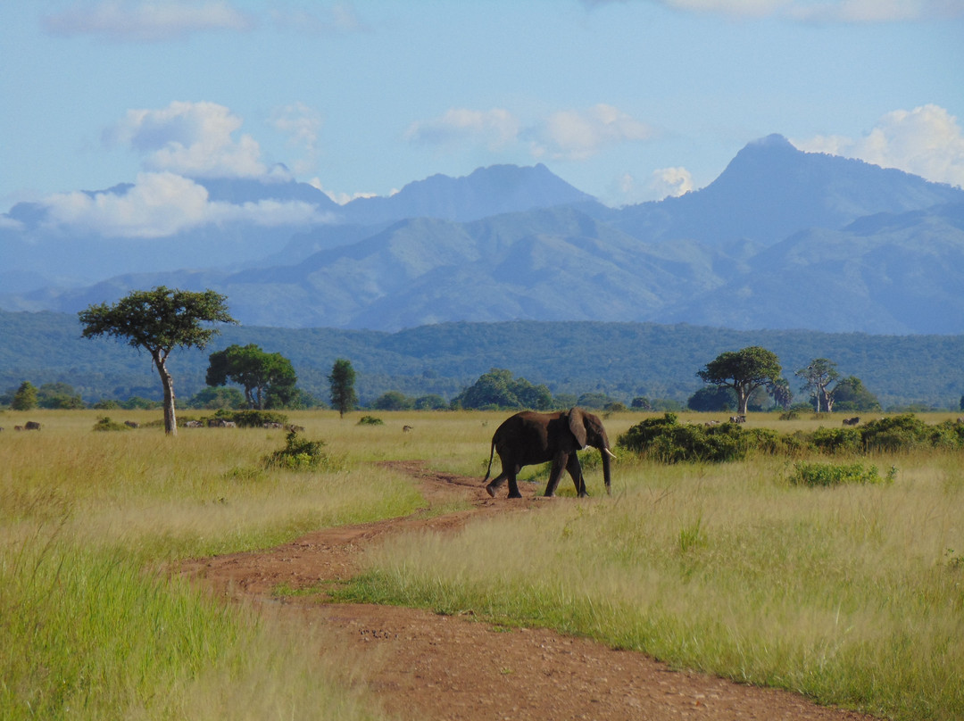 TanzAmerica Safaris Ltd.景点图片