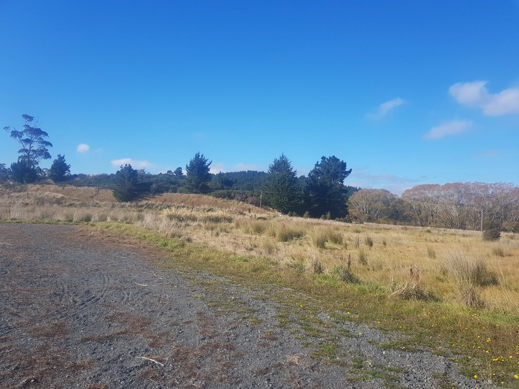 Lake Tuakitoto景点图片
