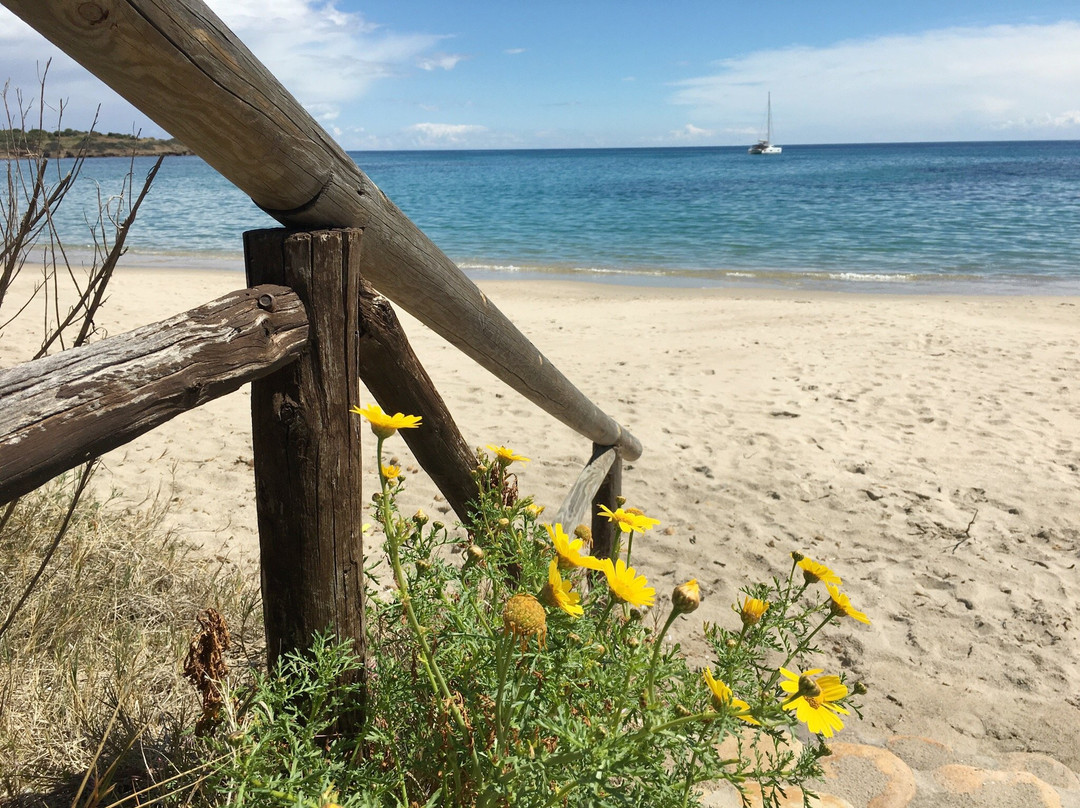 Spiaggia dei Fichi景点图片