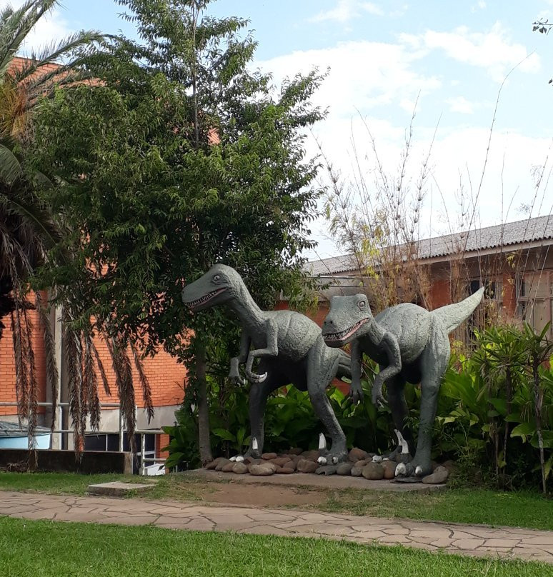 Museu de Ciências Naturais - UCS-南卡希亚斯必去景点