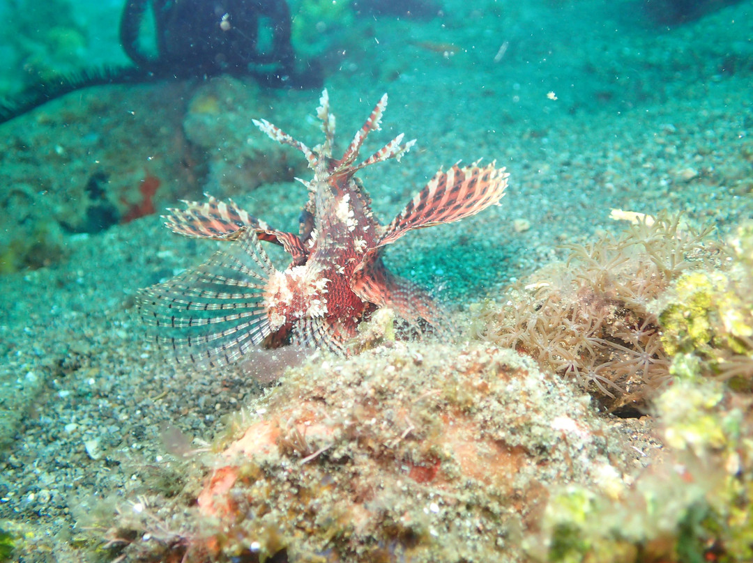 iDiventure-雅加达必去景点