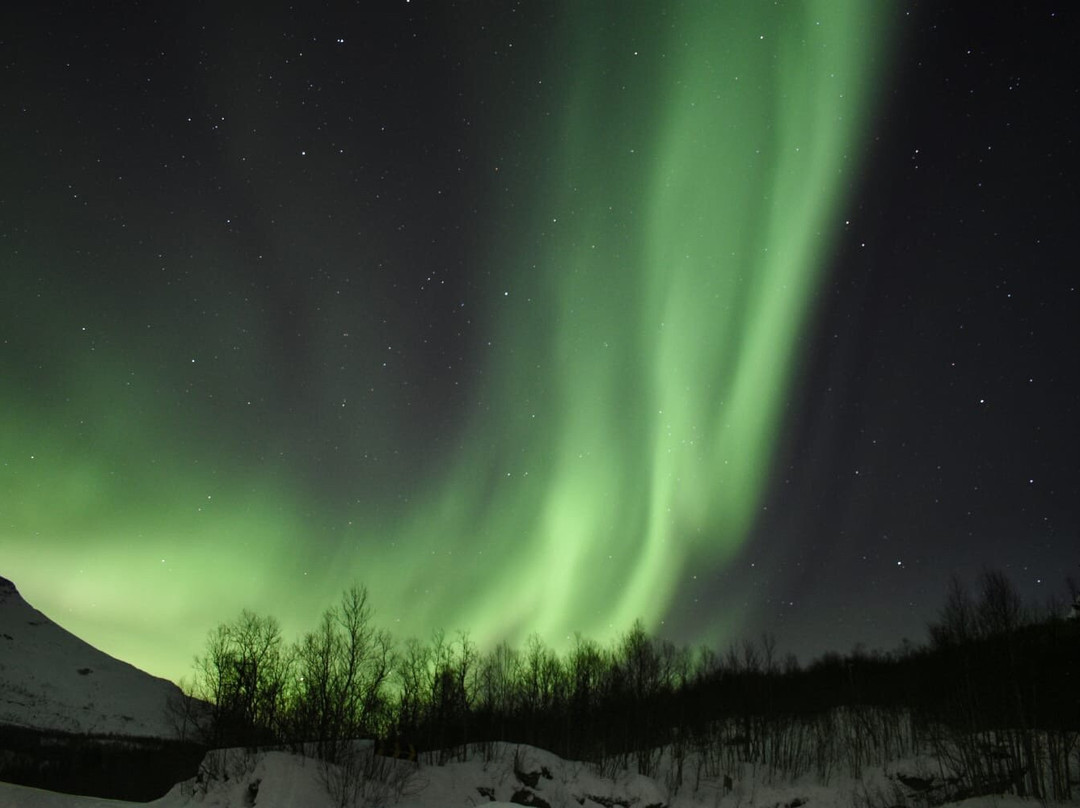 Aurora Chase Narvik景点图片