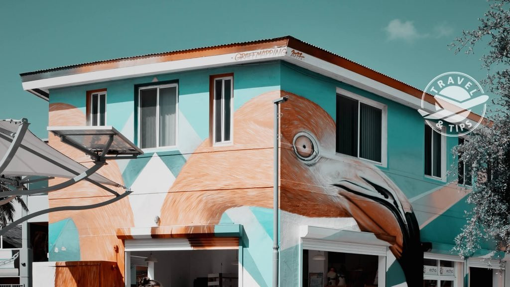 Cosecha in San Nicolas-San Nicolas必去景点