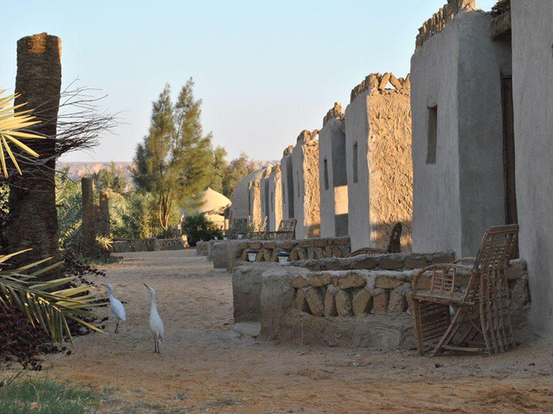 Le Jardin Sous La Lune主图