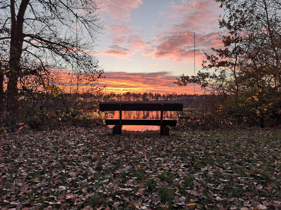 Karlstein am Main餐馆和美食-Restaurant SeeBlick
