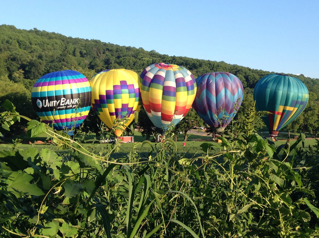 Balloons In Flight Over New Jersey景点图片