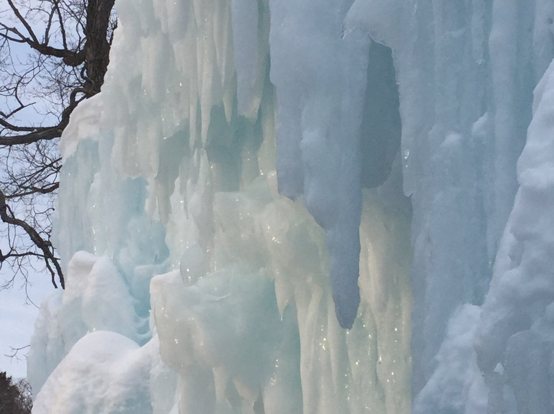 Excelsior Commons-Excelsior必去景点