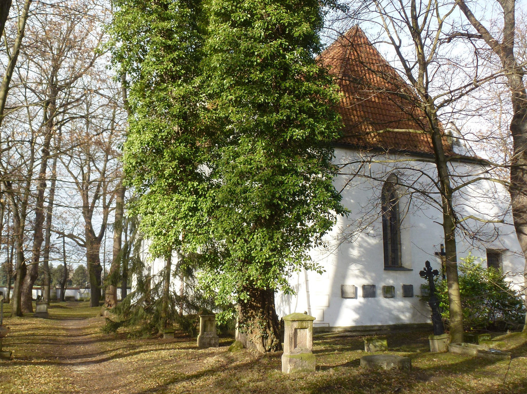 Church of St. John the Baptist and St. Prokop景点图片