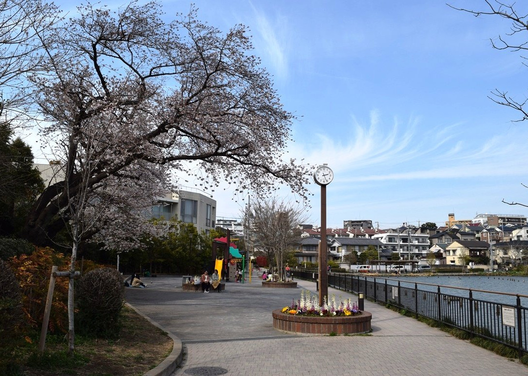 Koike Park景点图片